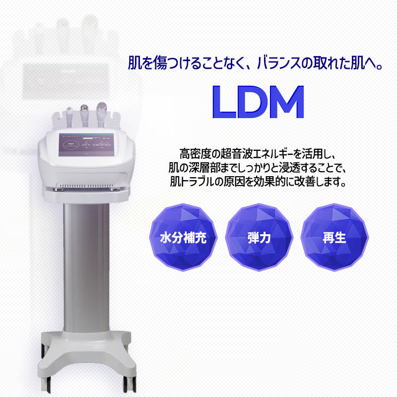 LDM - ホンデ店
